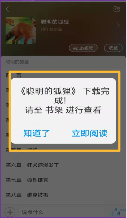 图片13.png